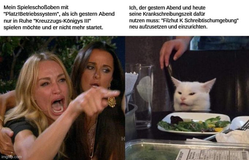Katzenschimpfe-Mai-Mai: Links bei der blonden Schimpferin steht: "Mein Spieleschoßoben mit "Platz!Betriebssystem", als ich gestern Abend nur in Ruhe "Kreuzzugs-Königys III" spielen möchte und er nicht mehr startet." Rechts bei der Katzi: "Ich, der gestern Abend und heute seine Krankschreibungszeit dafür nutzen muss: "Filzhut K Schreibtischumgebung" neu aufzusetzen und einzurichten."